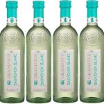 CARTON SUD SAUVIGNON BLANC 2022