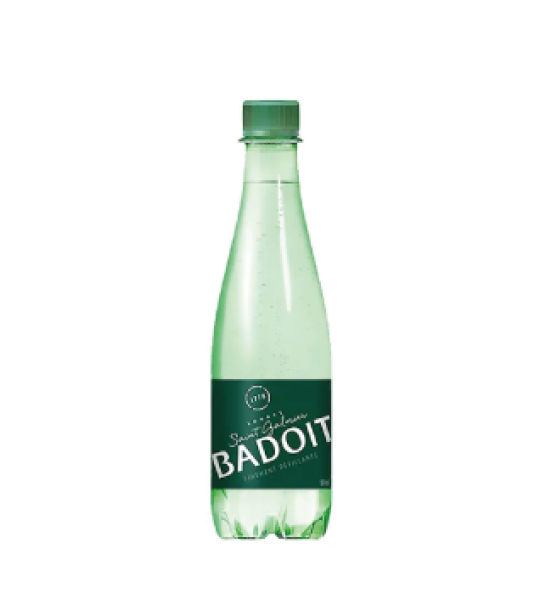 BADOIT SOURCE SAINT GALMIER 50CL