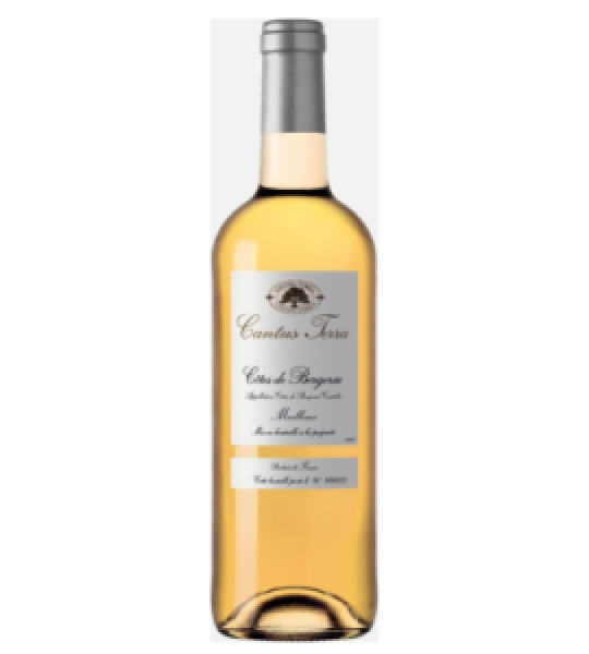 CANTUS TERRA COTES DE BERGERAC MOELLEUX 2021 75CL