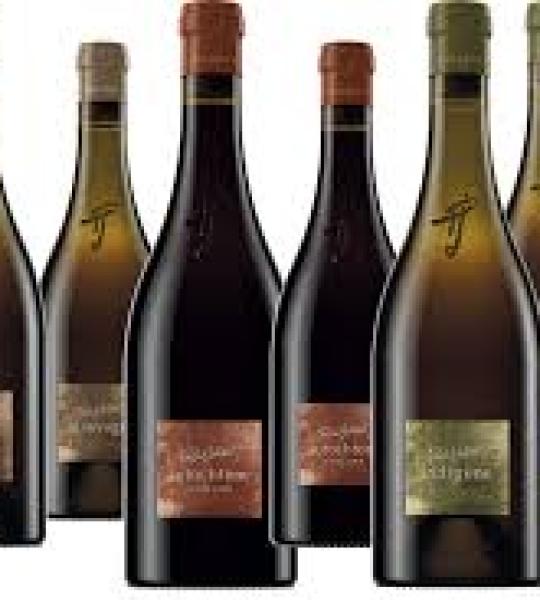 CARTON PASCAL JOLIVET SANCERRE 2022