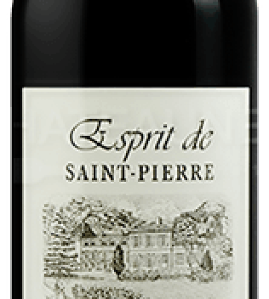 ESPRIT ST PIERRE ST JULIEN 2015 ROUGE